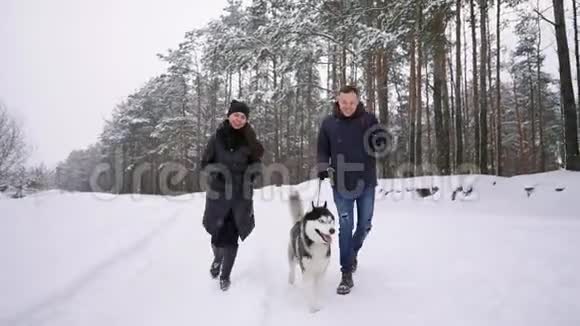 为快乐的现代夫妇在冬天在户外玩可爱的哈士奇小狗的画像把焦点放在亚洲男人的脸上视频的预览图