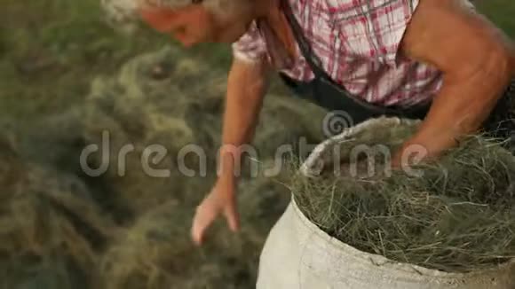 养老金领取者把干草放在一个大帆布袋里采购宠物食品自给农作特写视频的预览图