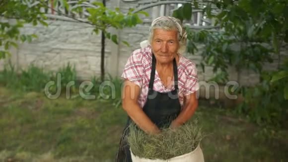 一个很老的女人在她的农场工作把干草折叠成一个大帆布袋自然经济勤奋工作视频的预览图