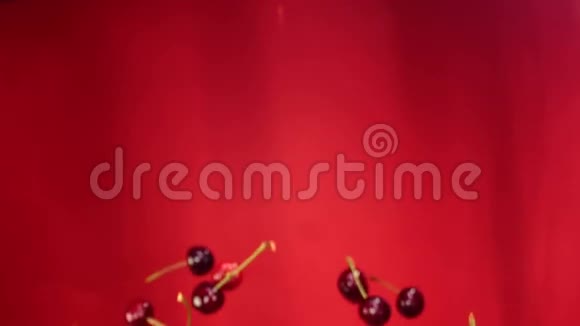 樱桃的特写镜头在空中飞舞旋转着红色的背景视频的预览图