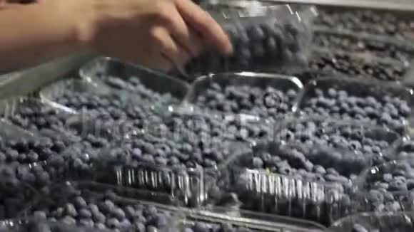 女人的手在超市里摸蓝莓浆果视频的预览图