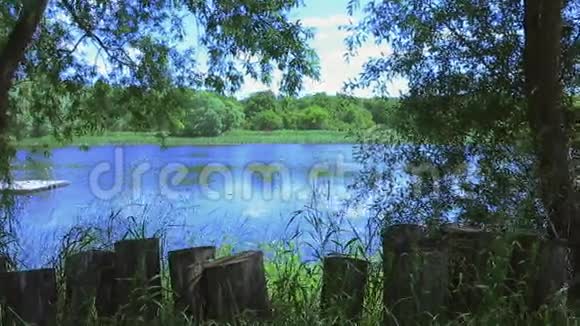 厄默湖视频的预览图