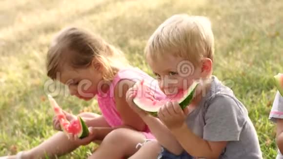 夏季公园吃西瓜的儿童组视频的预览图