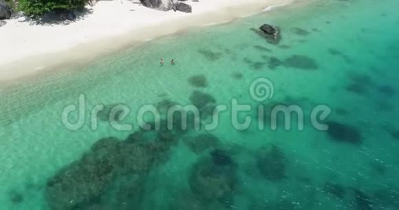 查姆群岛视频的预览图