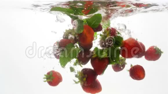 新鲜成熟草莓覆盆子和薄荷叶在白色背景下冷水中落下4k视频视频的预览图