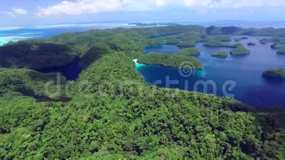 密克罗尼西亚帕劳水母湖全景视频的预览图