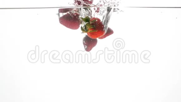 特写慢条斯理的视频新鲜成熟的草莓在白色背景下落入水中视频的预览图