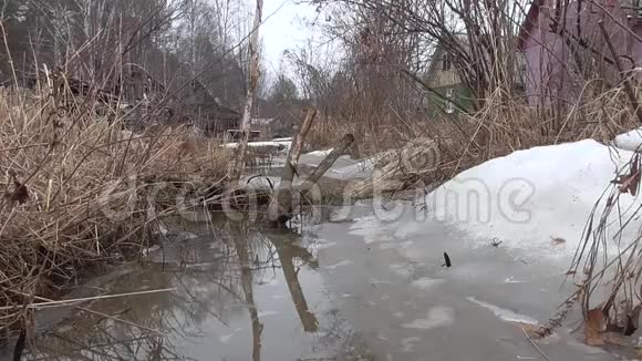 早春小溪里的冰没有融化下雪了下雨了视频的预览图