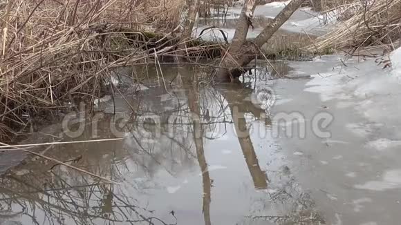 早春小溪里的冰没有融化下雪了下雨了视频的预览图