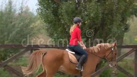 运动女骑师练习骑马视频的预览图
