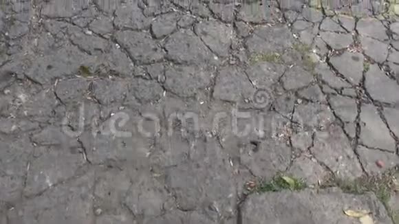 石头路视频的预览图