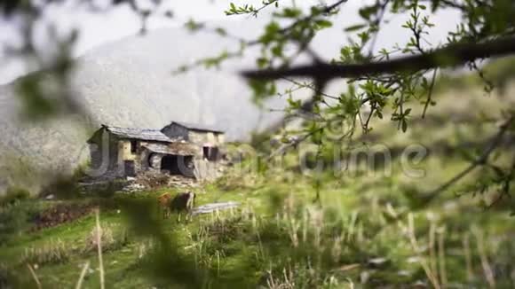 喜马拉雅山斜坡上的和平村庄视频的预览图