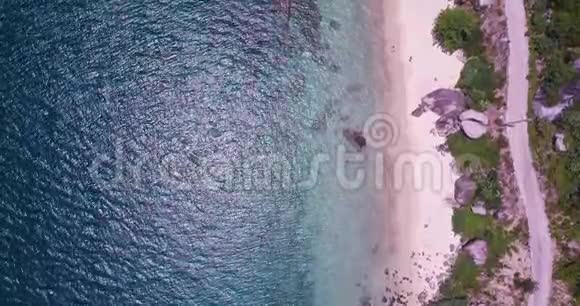 查姆群岛视频的预览图