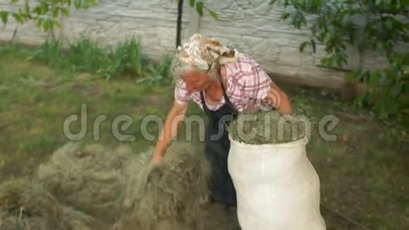 一个80岁的老女人在她的农场工作把干草折叠成一个大帆布袋母亲节国际日视频的预览图