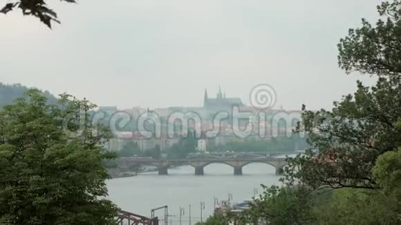 布拉格城伏尔塔瓦河和桥的美丽景色两边都是树枝视频的预览图