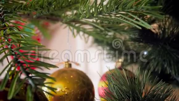 特写4k镜头镜头穿过装饰好的圣诞树树枝视频的预览图