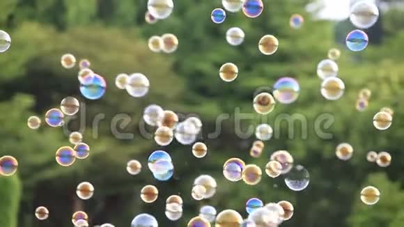 4k肥皂泡漂浮在空气中自然绿色模糊的背景视频的预览图