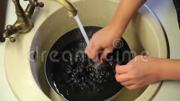 贴身女人在厨房的家里洗着多汁的葡萄束慢动作视频的预览图
