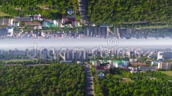 鸟瞰城市的夏日与大自然在城市中央镜视界的效果媒体空中城市视频的预览图