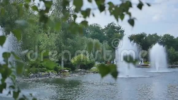 喷泉的浓水视频的预览图