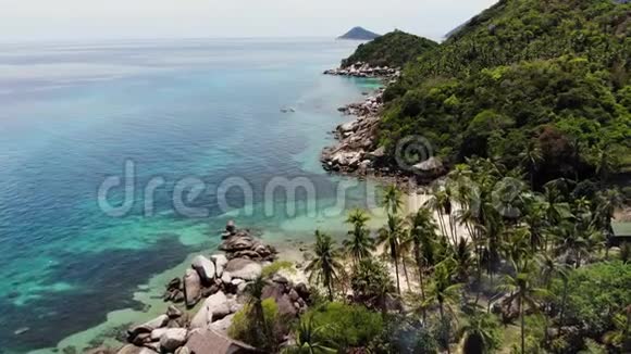 热带海滩上的真菌和绿色椰子棕榈在陶岛的沙滩上的小屋和浮潜度假胜地视频的预览图
