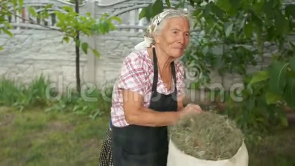 一位有困难的老年妇女举起一袋干草农业孤独的老年贫穷视频的预览图