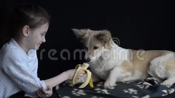 女孩给狗喂香蕉视频的预览图