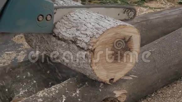 伐木工人锯断树木和树枝以获取燃料慢动作视频的预览图