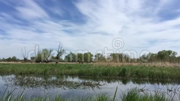 田野和河流草地的景观视频的预览图