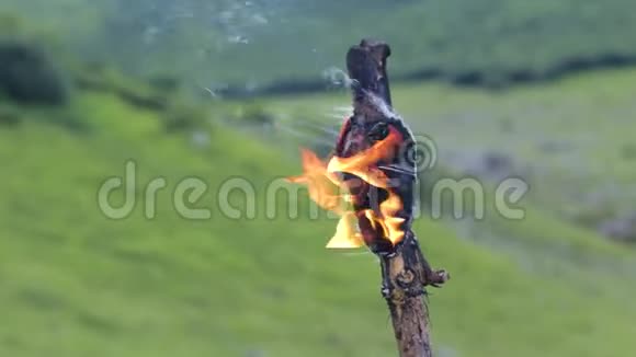 山的背景上的火炬视频的预览图