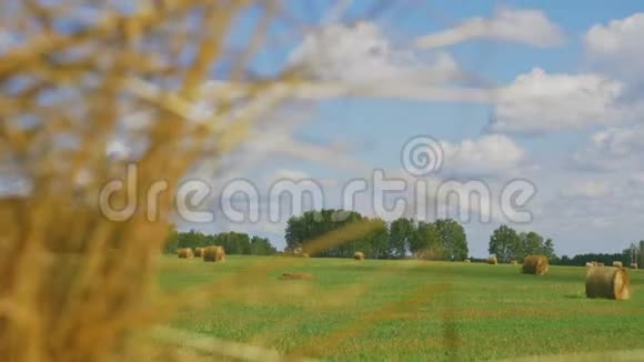 夏天绿茵场上的一捆稻草视频的预览图