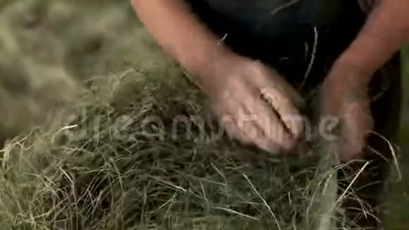 一位年老妇女的双手皱着把干草折在帆布袋里特写镜头农村工作自给农作视频的预览图