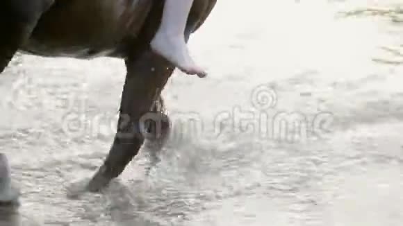 黑马在河上跺脚泼水视频的预览图