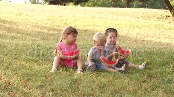 一群在户外吃西瓜的孩子4K视频的预览图