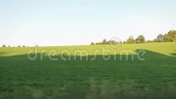 从火车窗口看从田野和树木的角度看视频的预览图