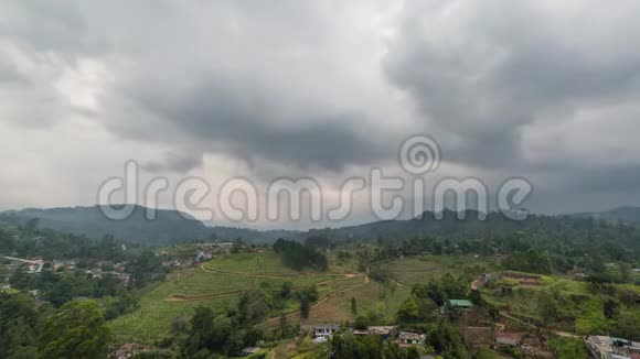 斯里兰卡Lipton位于NuwaraEliya的茶园日出时的时间流逝4K时的云涌过视频的预览图