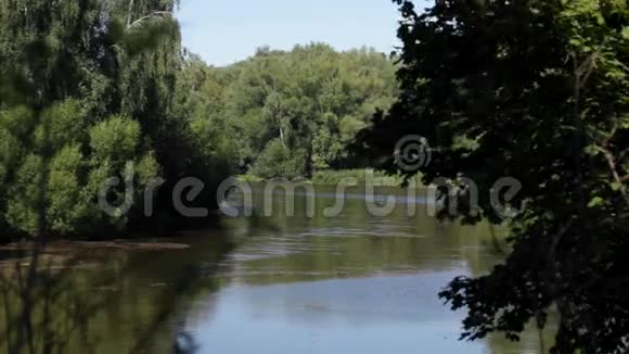 绿油油的河流视频的预览图