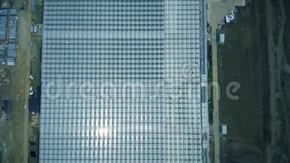 排玻璃大棚进行蔬菜生产航空照片视频的预览图
