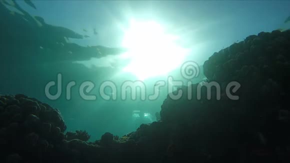 潜水员在阳光下游过珊瑚礁视频的预览图