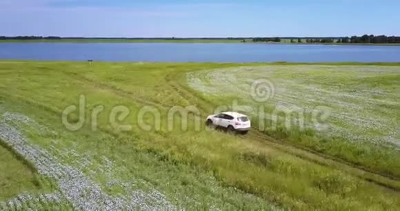 车停在路上通向田野间的湖视频的预览图