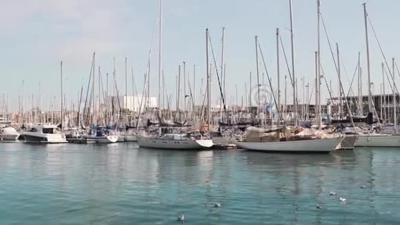 码头上有许多游艇和船只一艘帆船与海鸥停泊在码头视频的预览图