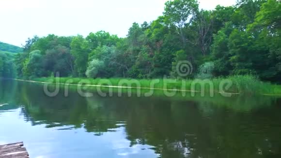 全景或后面的河流和森林视频的预览图