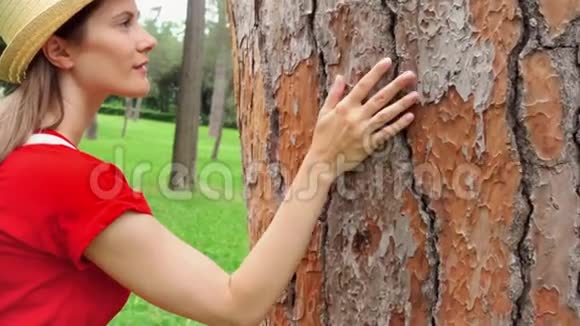 女人慢慢地沿着老树滑手女性手触摸树干壳表面视频的预览图