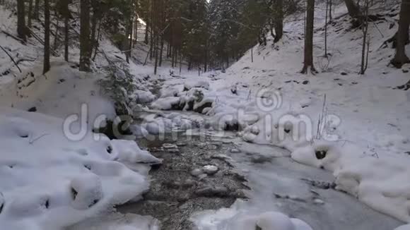 山涧中冬林视频的预览图