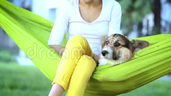 年轻漂亮的微笑女人可爱的威尔士科尔吉狗躺在明亮的绿色吊床公园视频的预览图