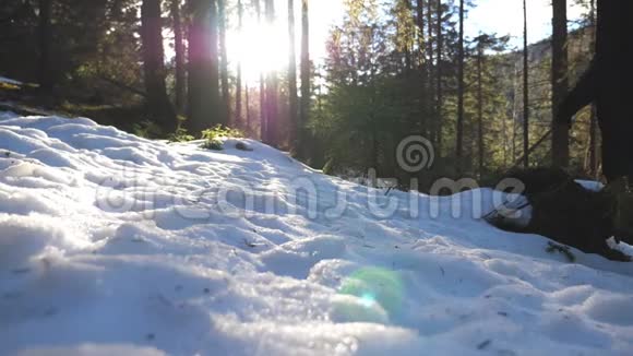 山地松林雪坡慢跑年轻人的低角度视野一位男游客在雪山上奔跑视频的预览图