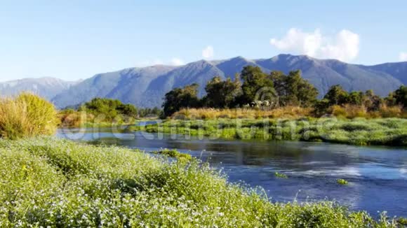 新西兰的卢什泉溪视频的预览图