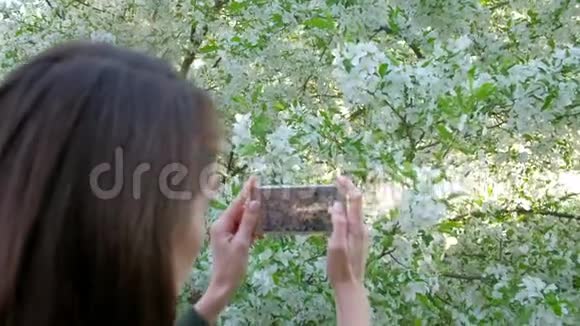 女性拍摄盛开的苹果树的照片在美丽的春天花园里使用智能手机视频的预览图