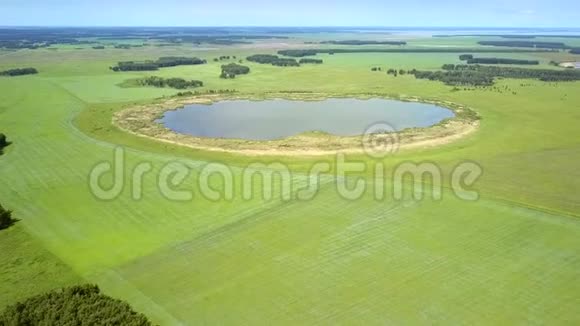 在广阔的绿色田野上可以看到圆形湖泊视频的预览图