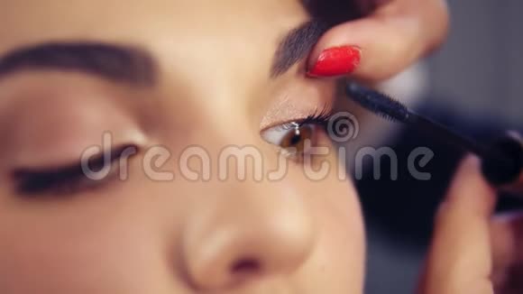 专业化妆师在模特睫毛上涂睫毛膏特写从事美容时尚行业视频的预览图